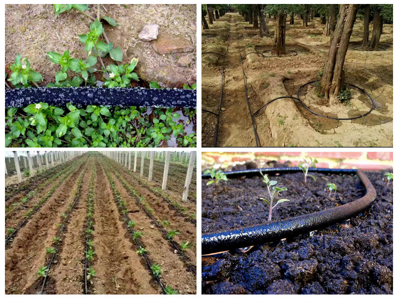 كيف يستخدم خرطوم معتاد على الثمالة المطاطية للري؟